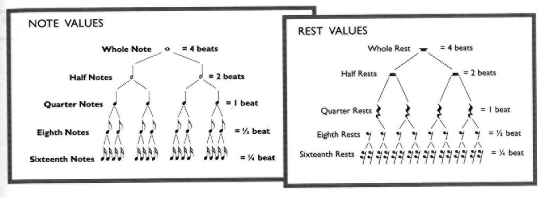 Note & Rest Values