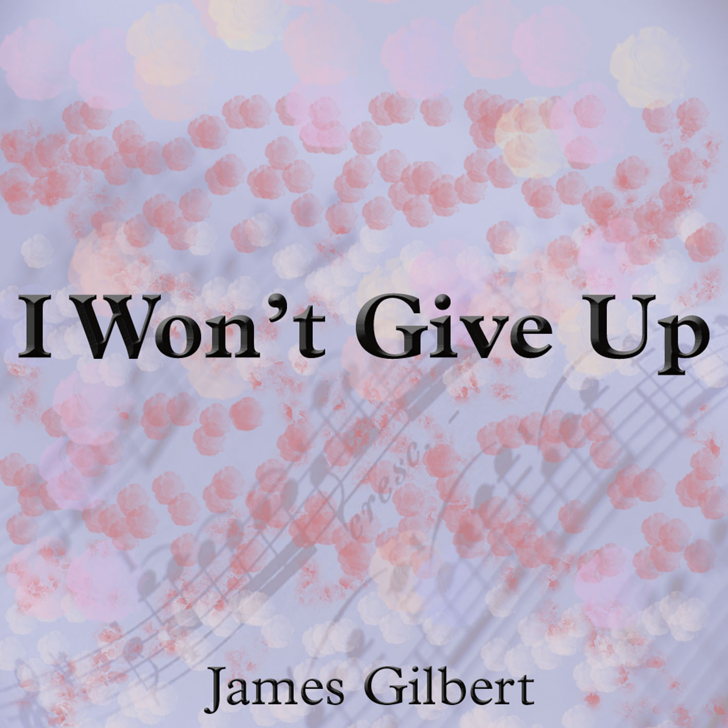 I Won't Give Up